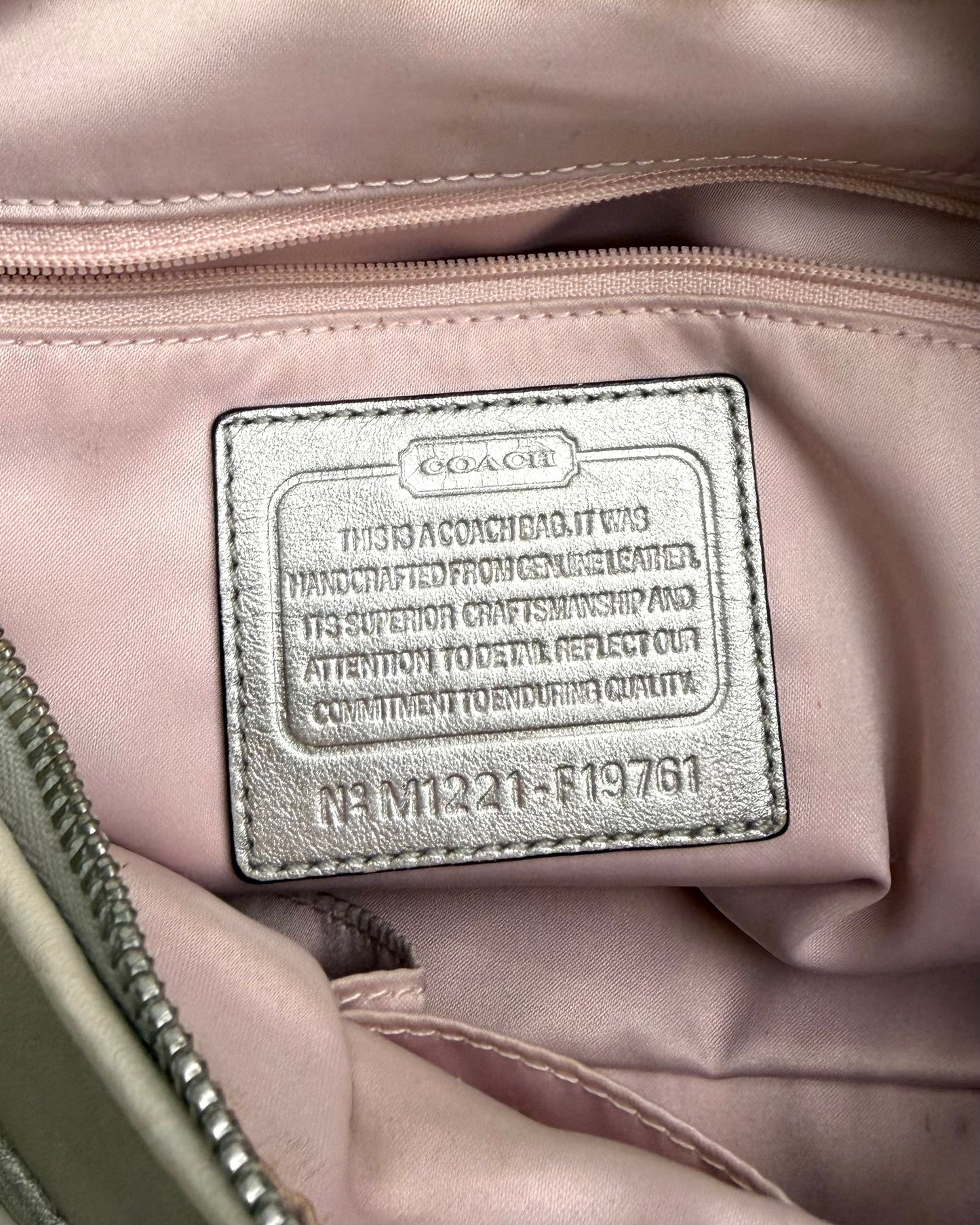 Coach Ashley hobo bag