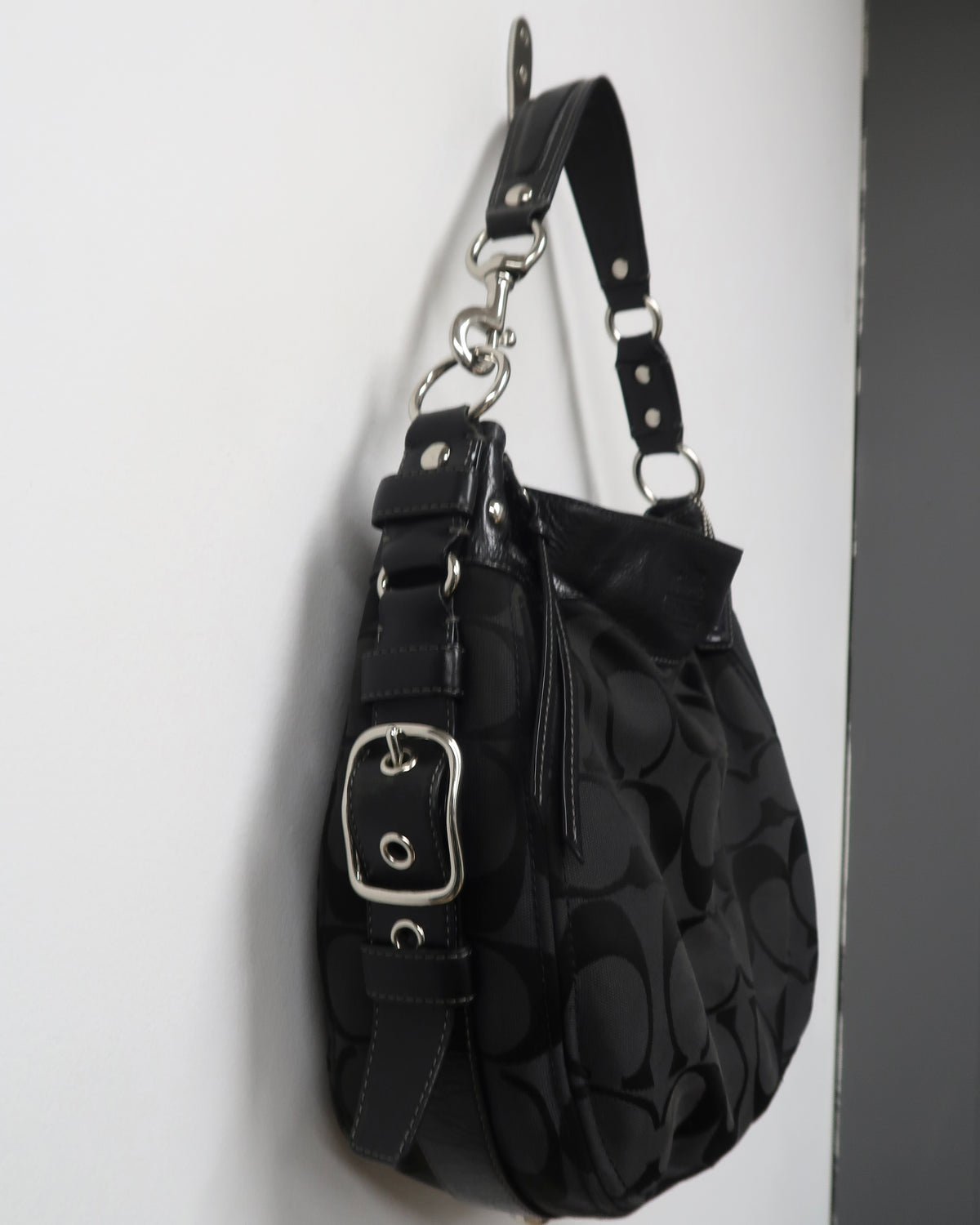 Coach Zoe Hobo Bag