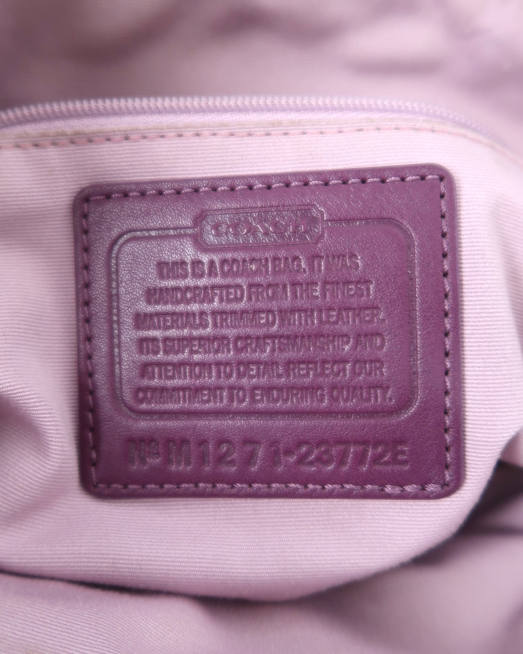 Coach Signature C Jacquard & Berry Stripe Tote