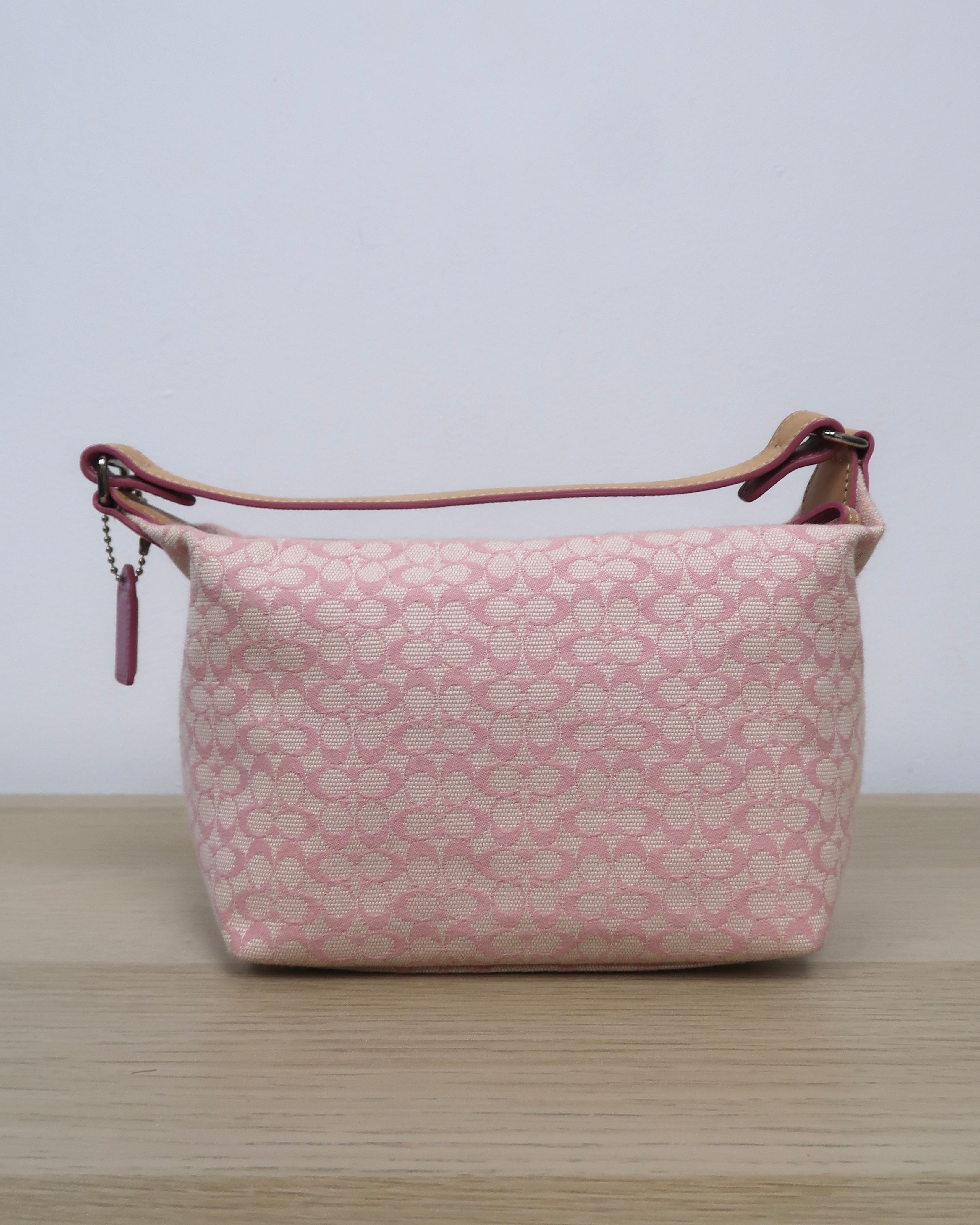 Coach Signature Bag