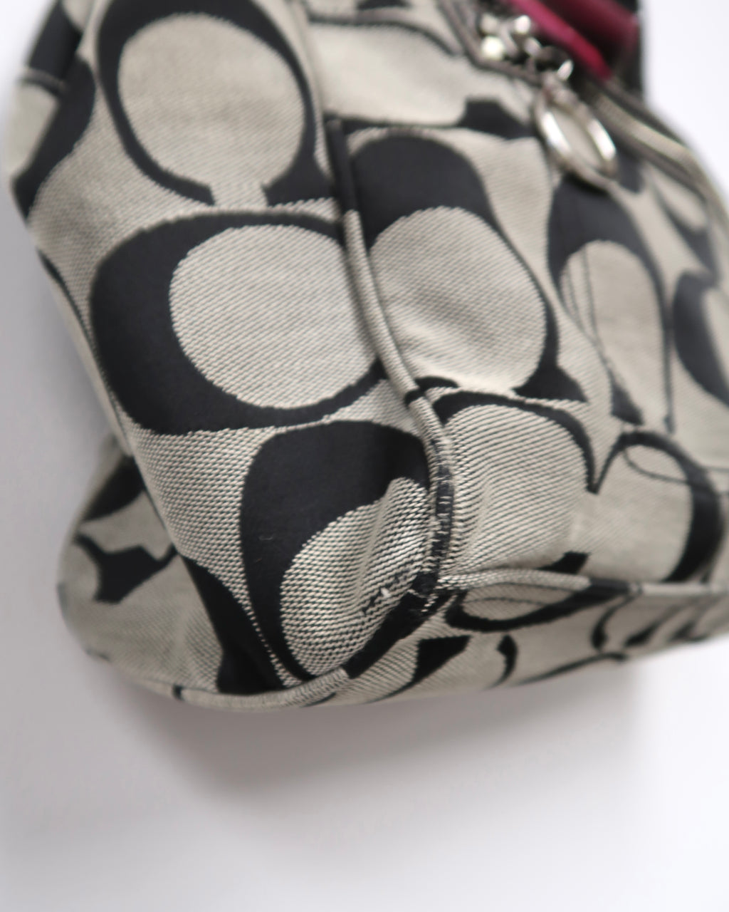 Coach Daisy Signature Tote