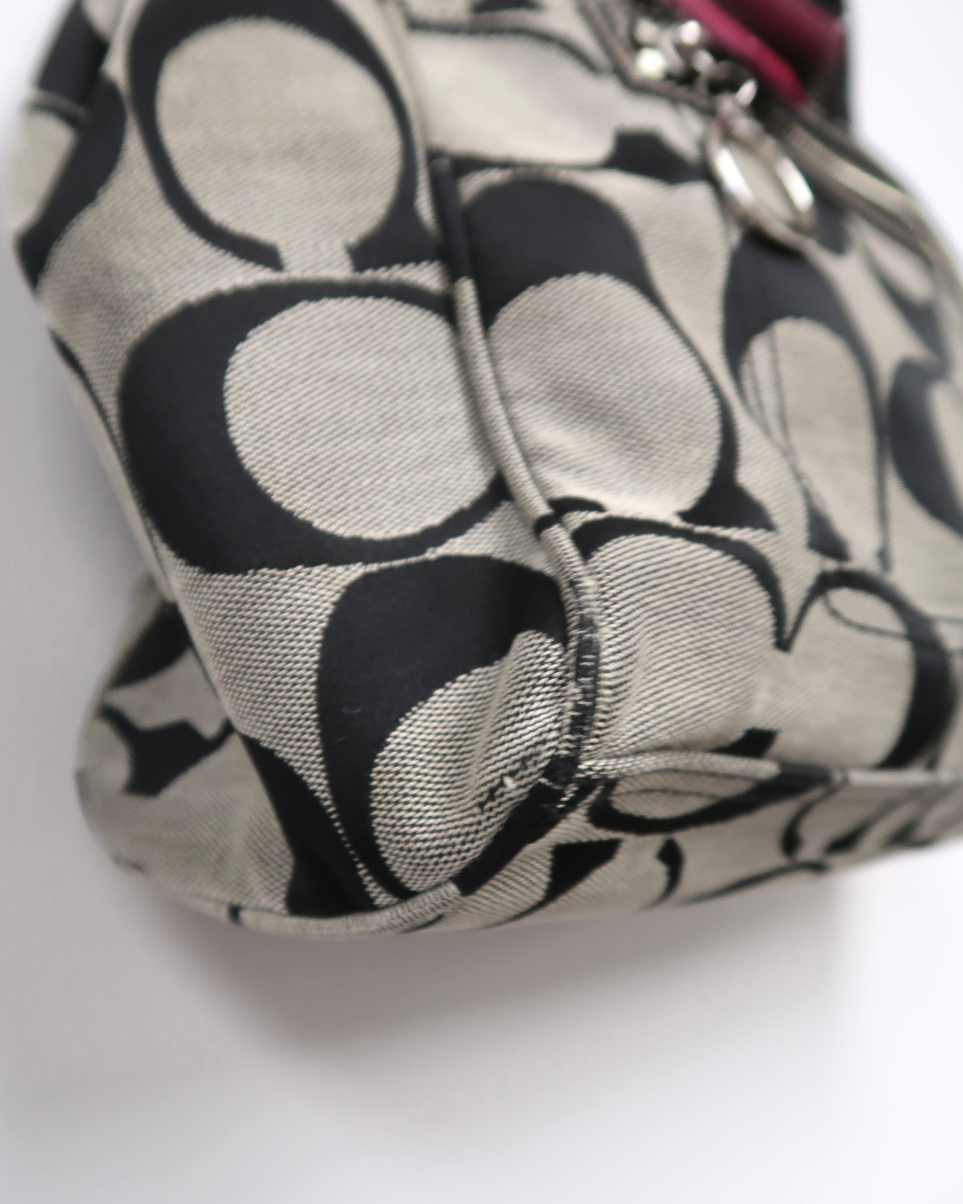 Coach Daisy Signature Tote