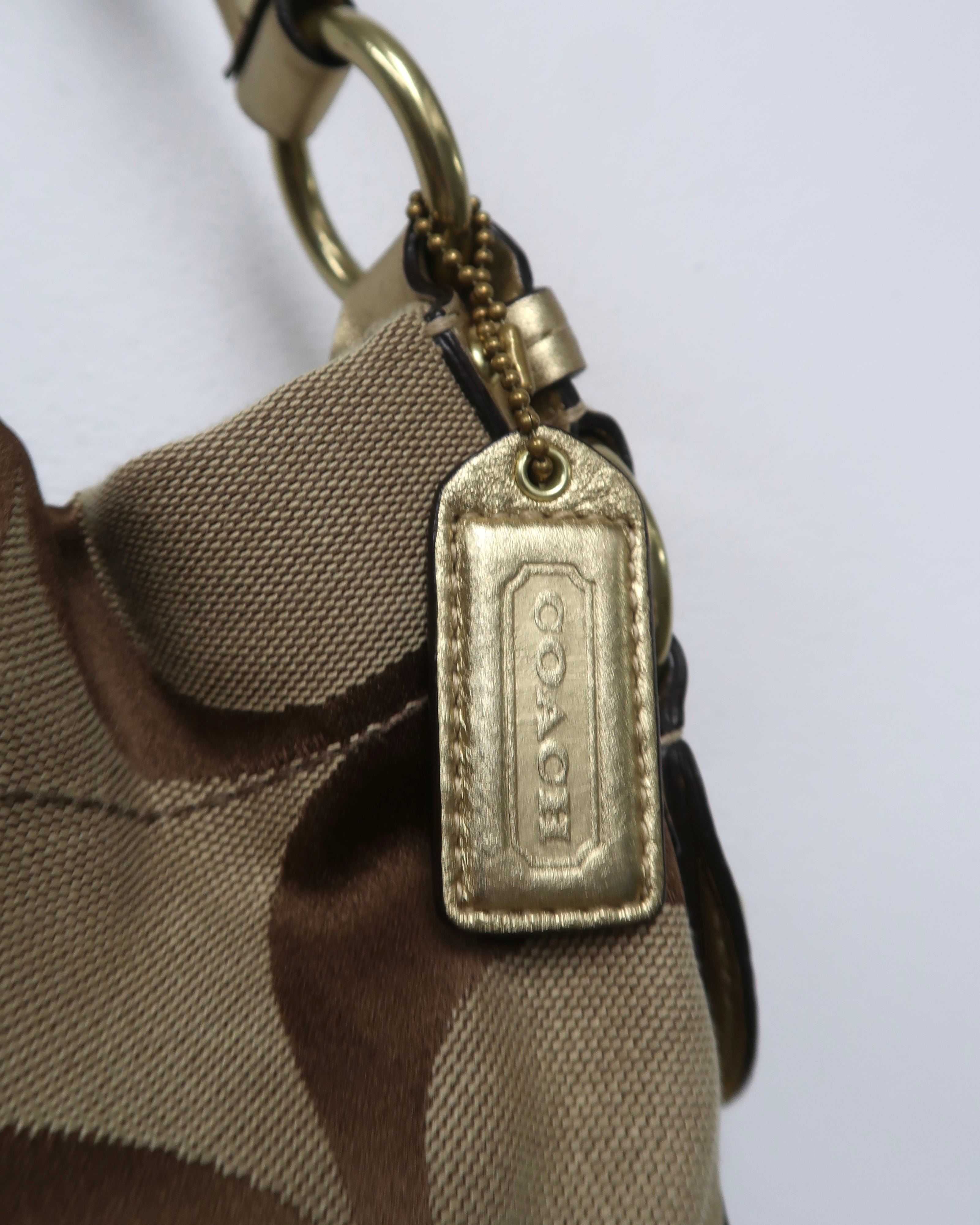 Coach Carly Signature Hobo Shoulder Bag