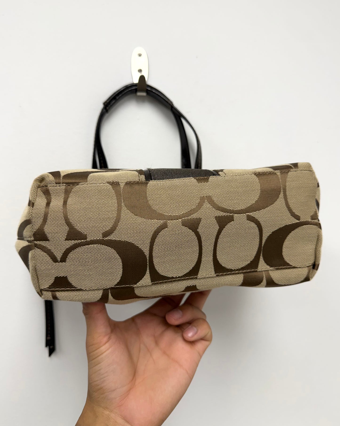 Coach Signature Brown Stripe Tote