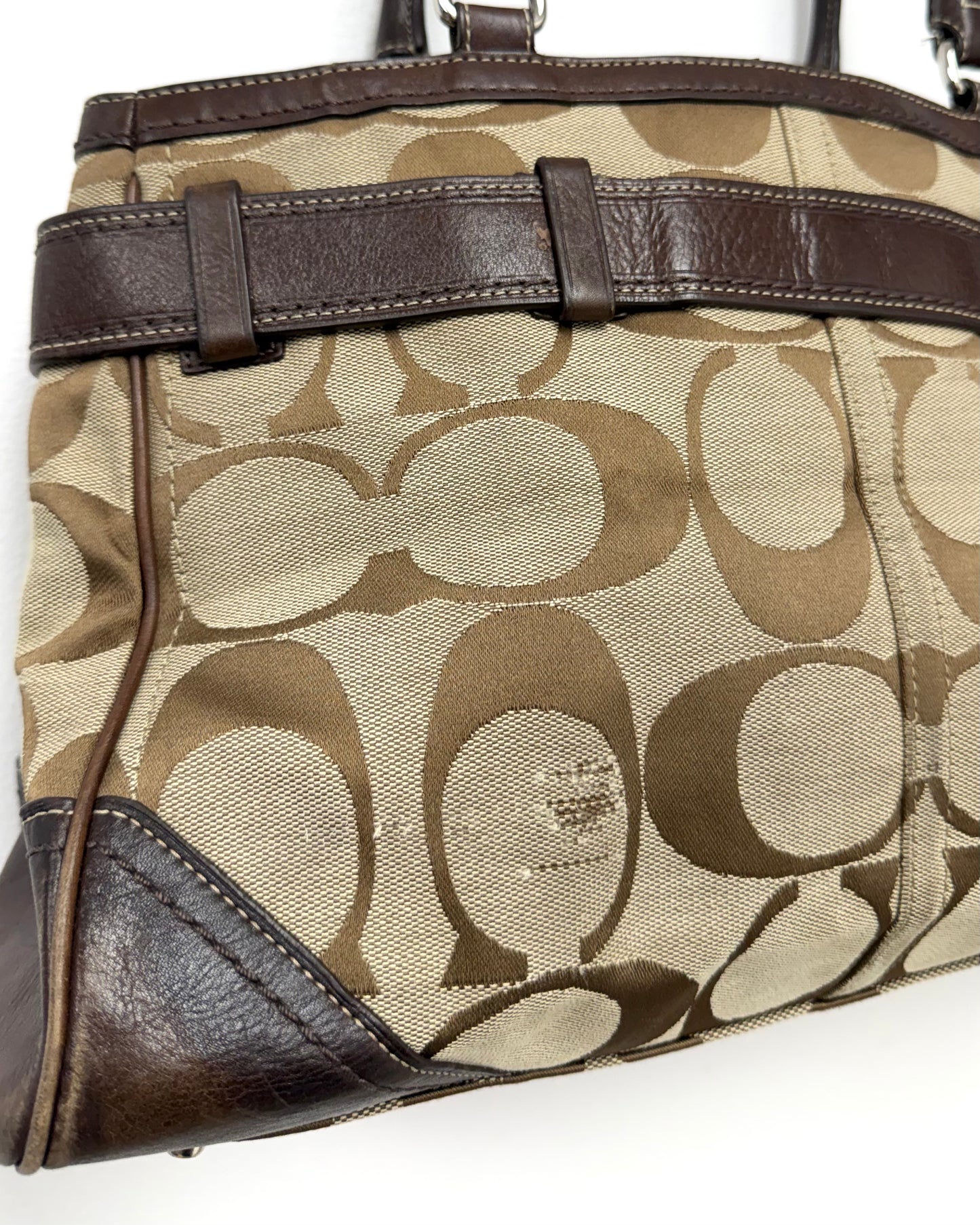 Coach Hampton Signature Leopard Stripe handbag