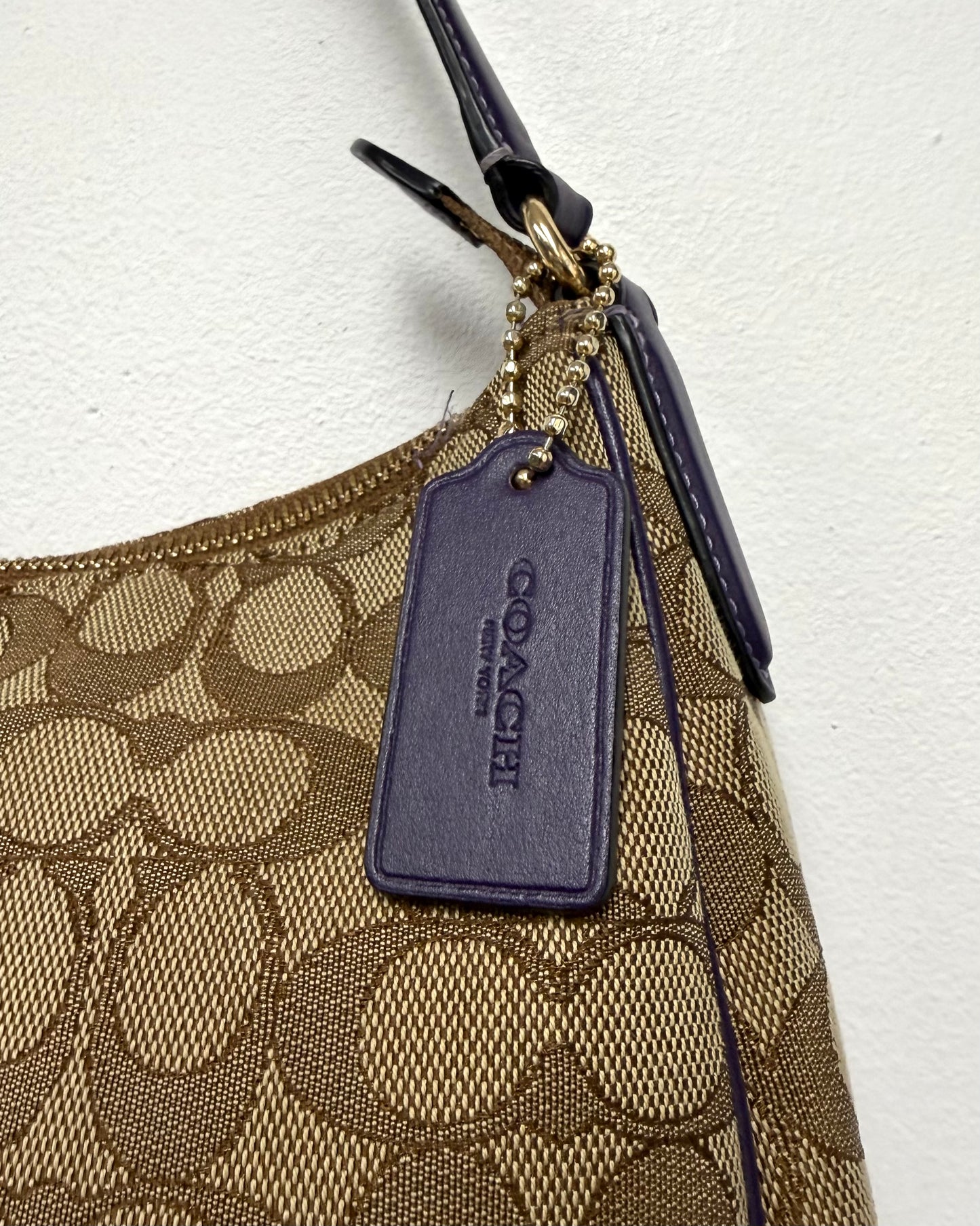 Coach Signature Stripe Hobo bag