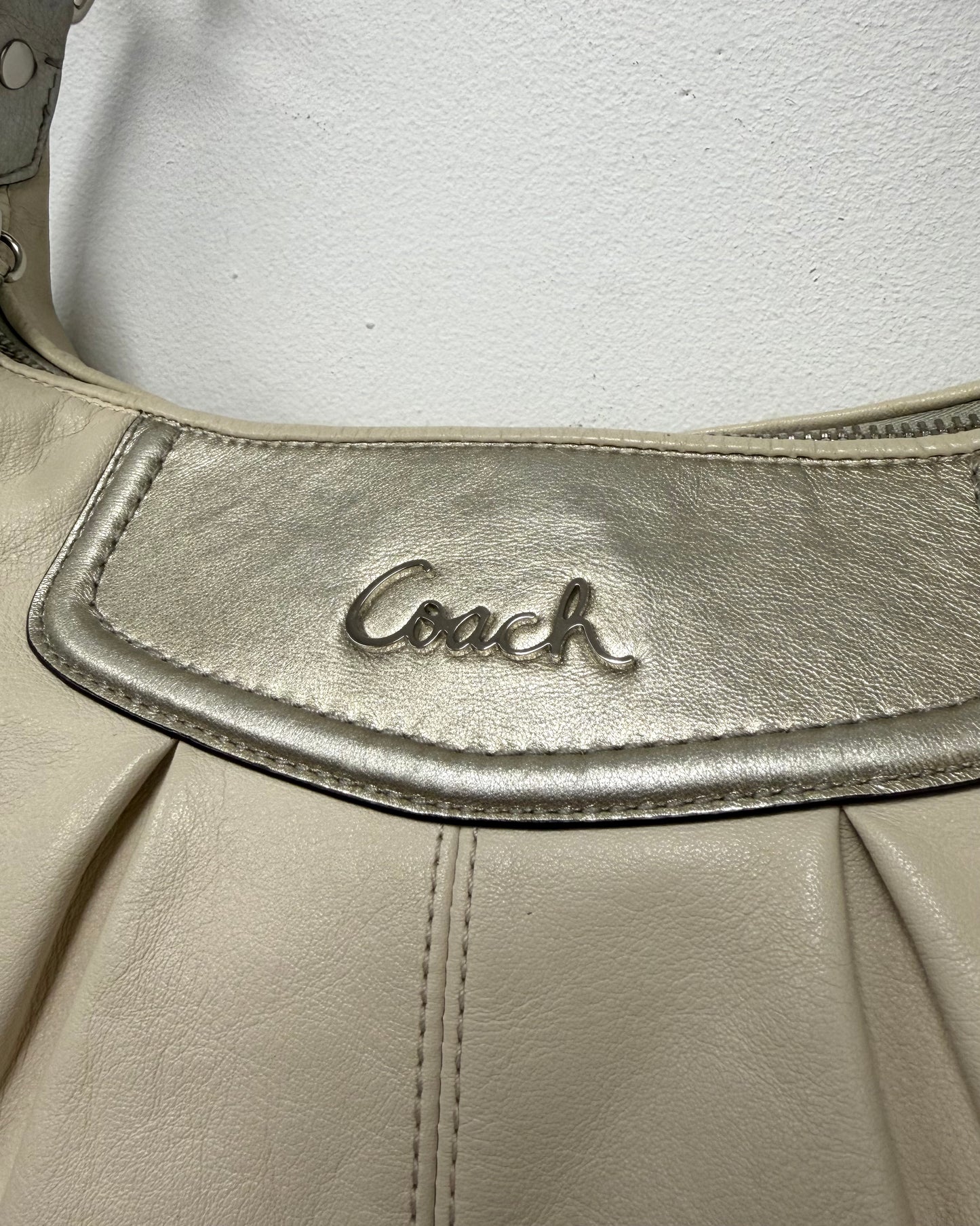 Coach Ashley hobo bag