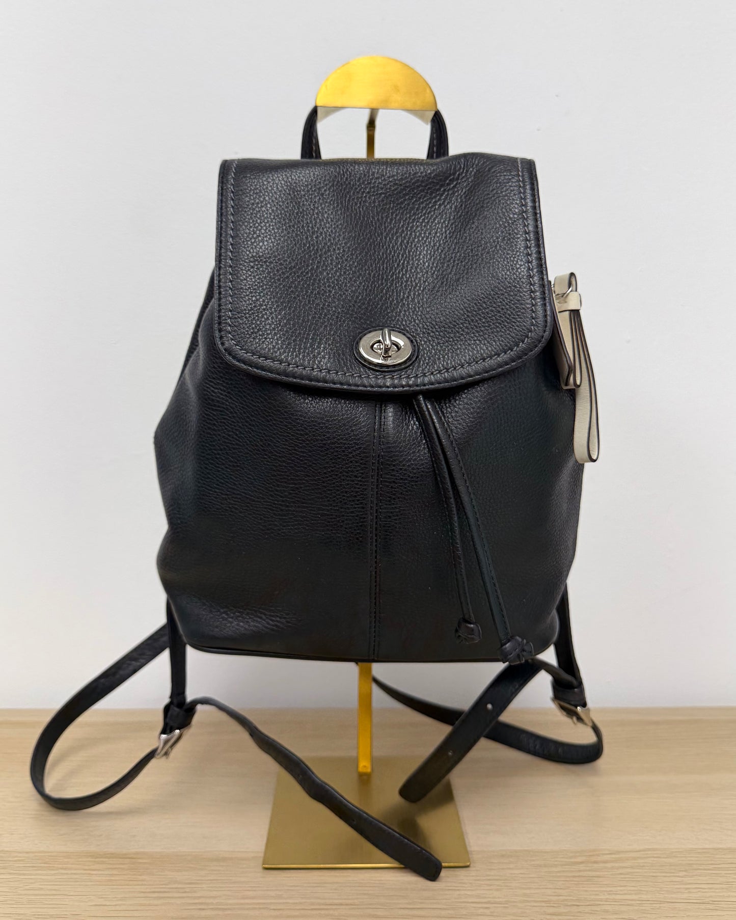 Black Leather Coach backpack