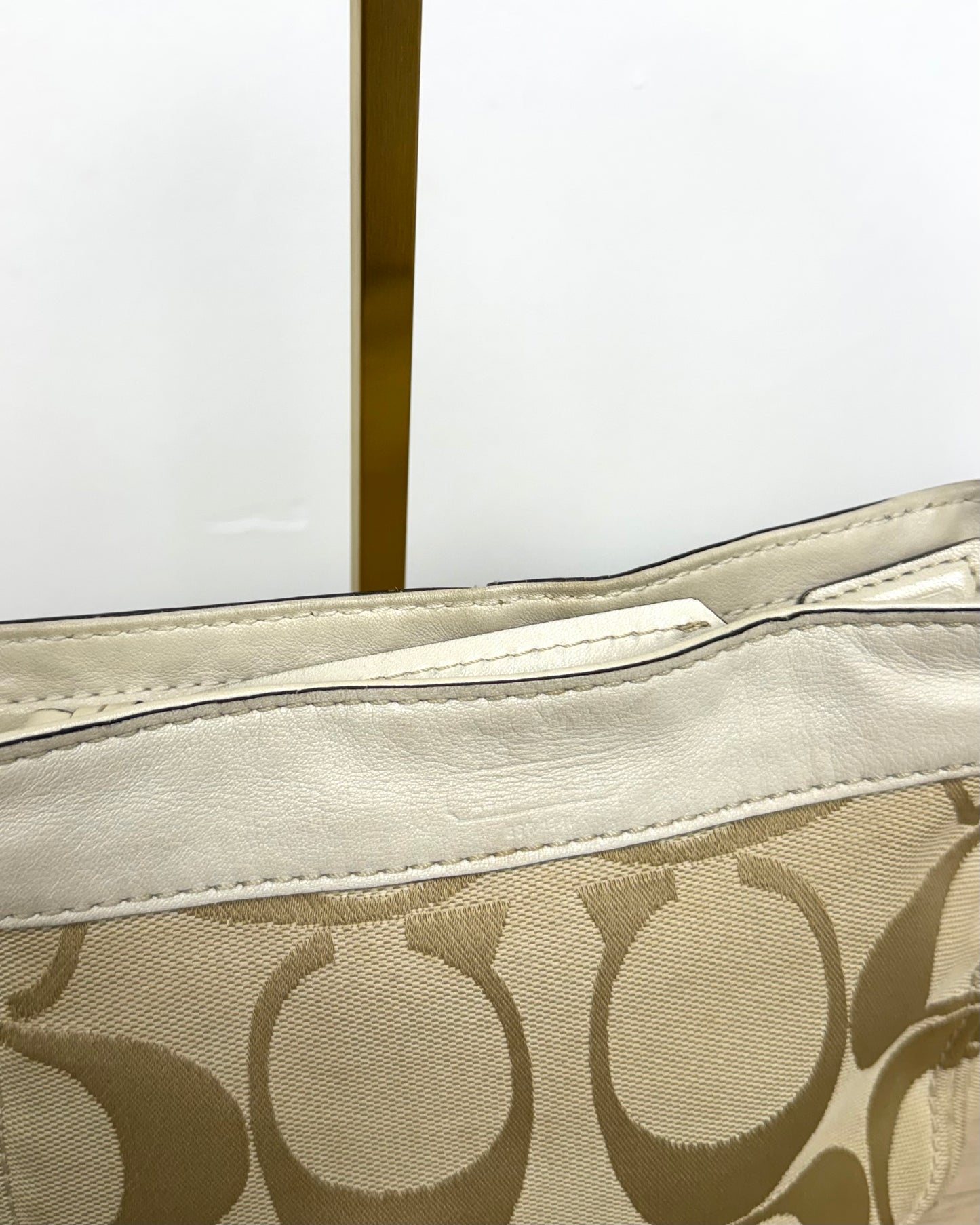 Coach Zoe Signature Mini Shoulder Bag