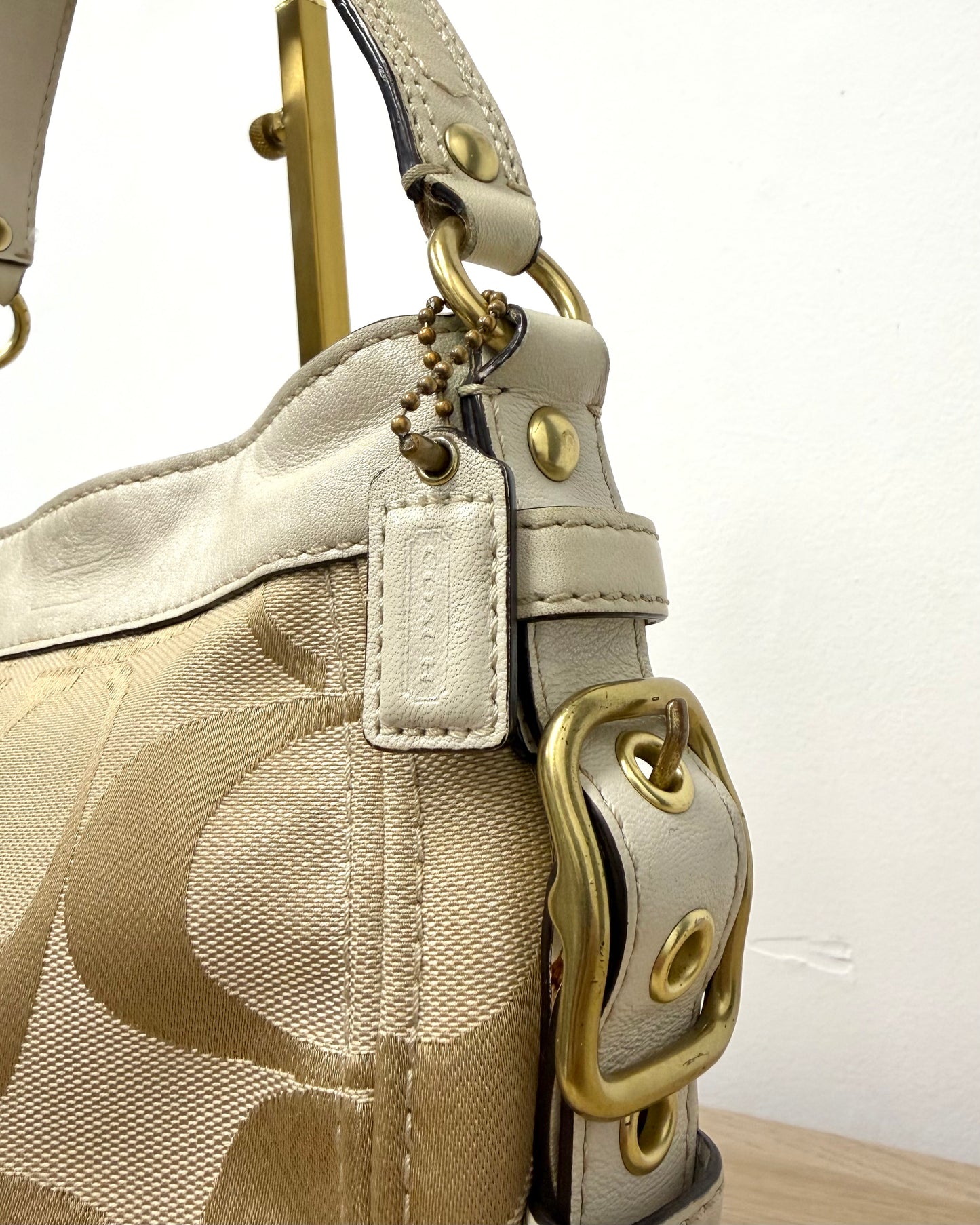 Coach Zoe Signature Mini Shoulder Bag