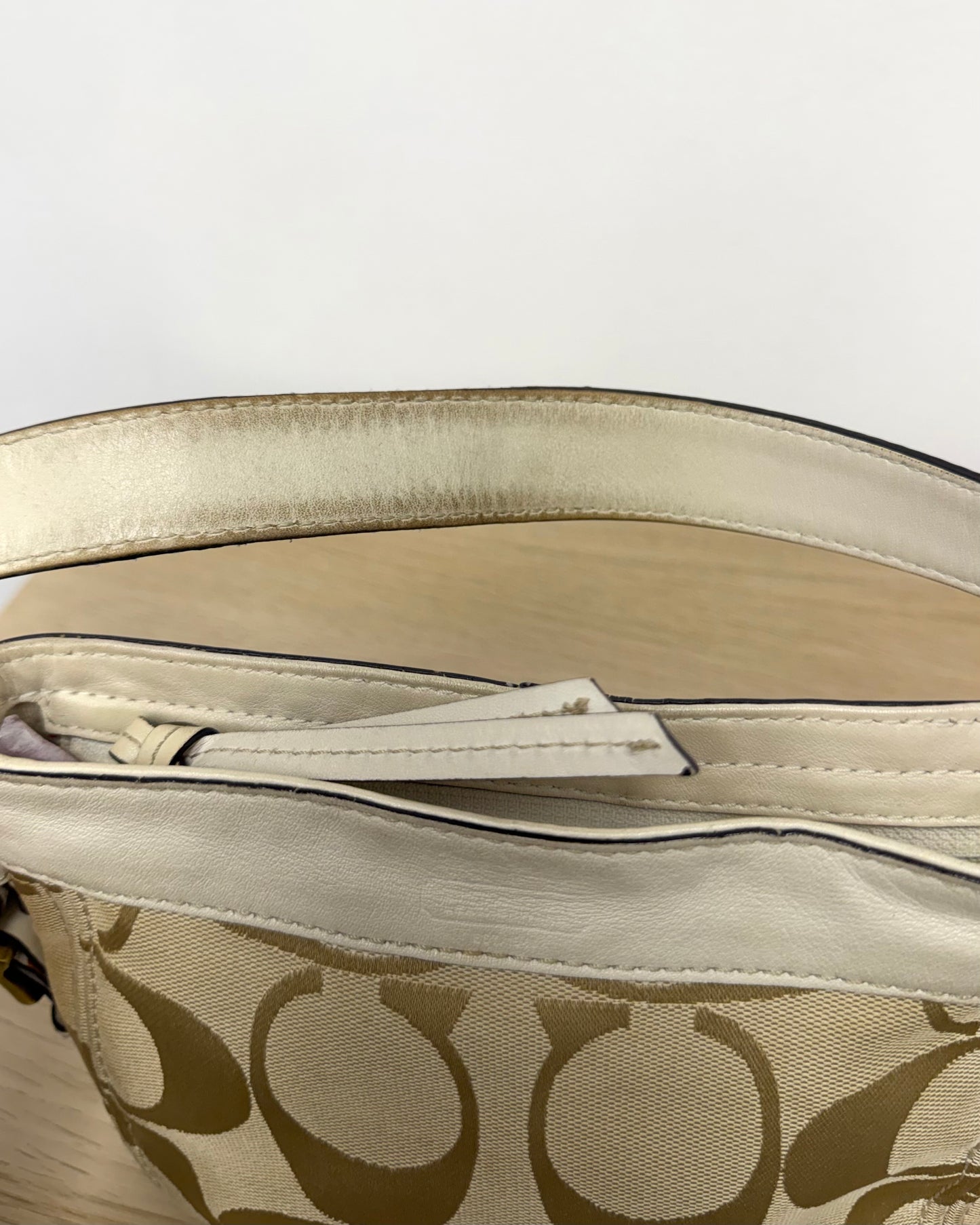 Coach Zoe Signature Mini Shoulder Bag
