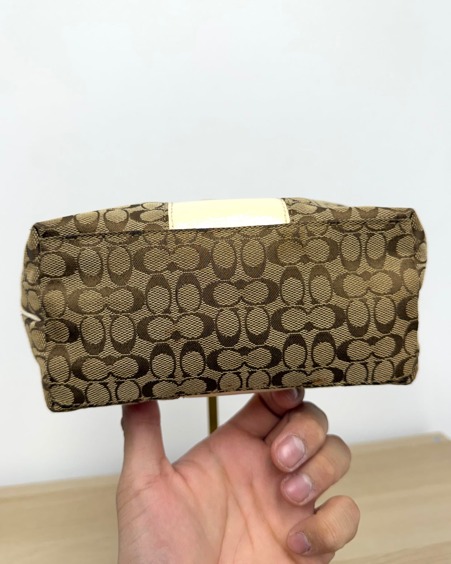 Coach Signature Canvas Hobo