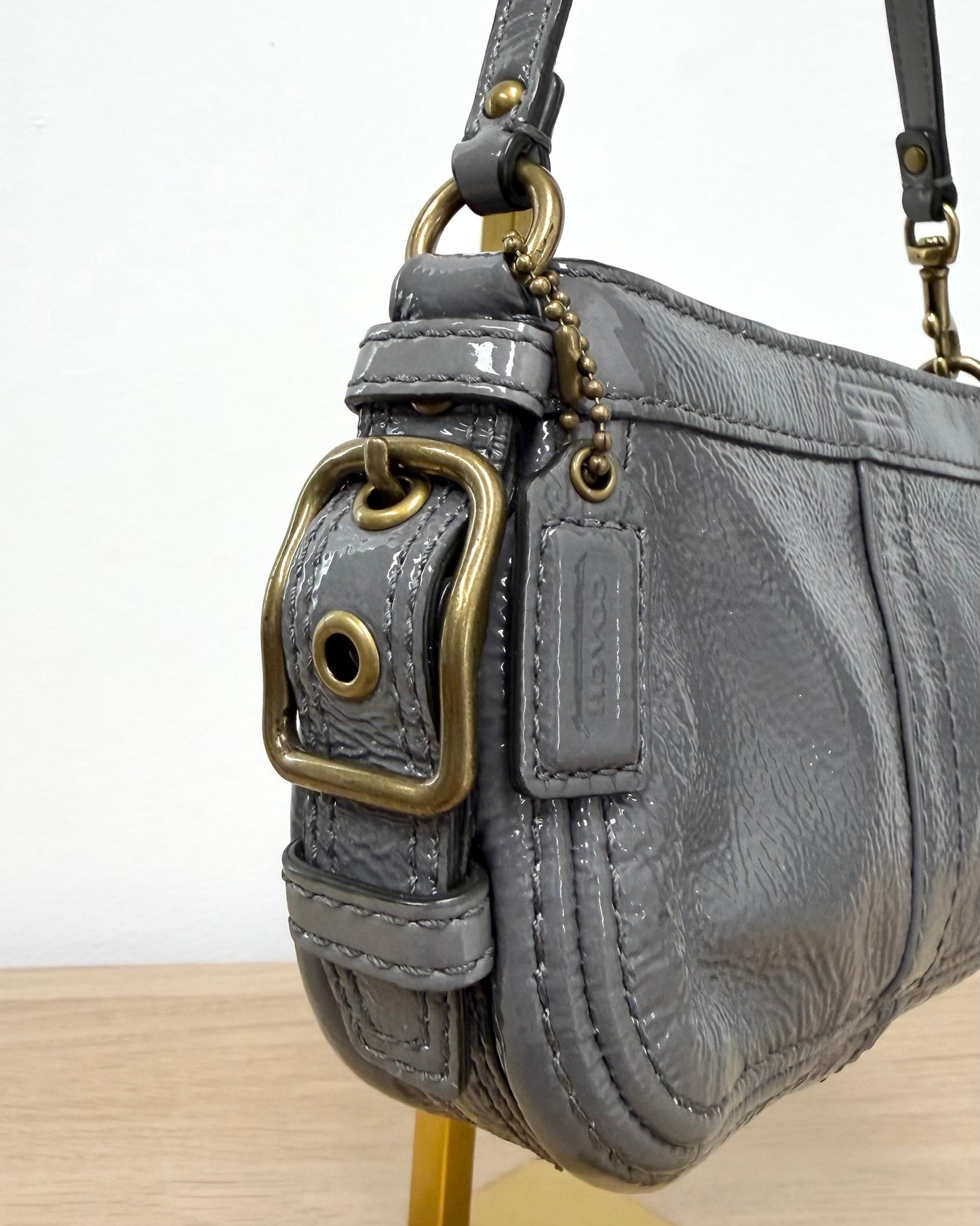 Coach Zoe Mini Shoulder Bag