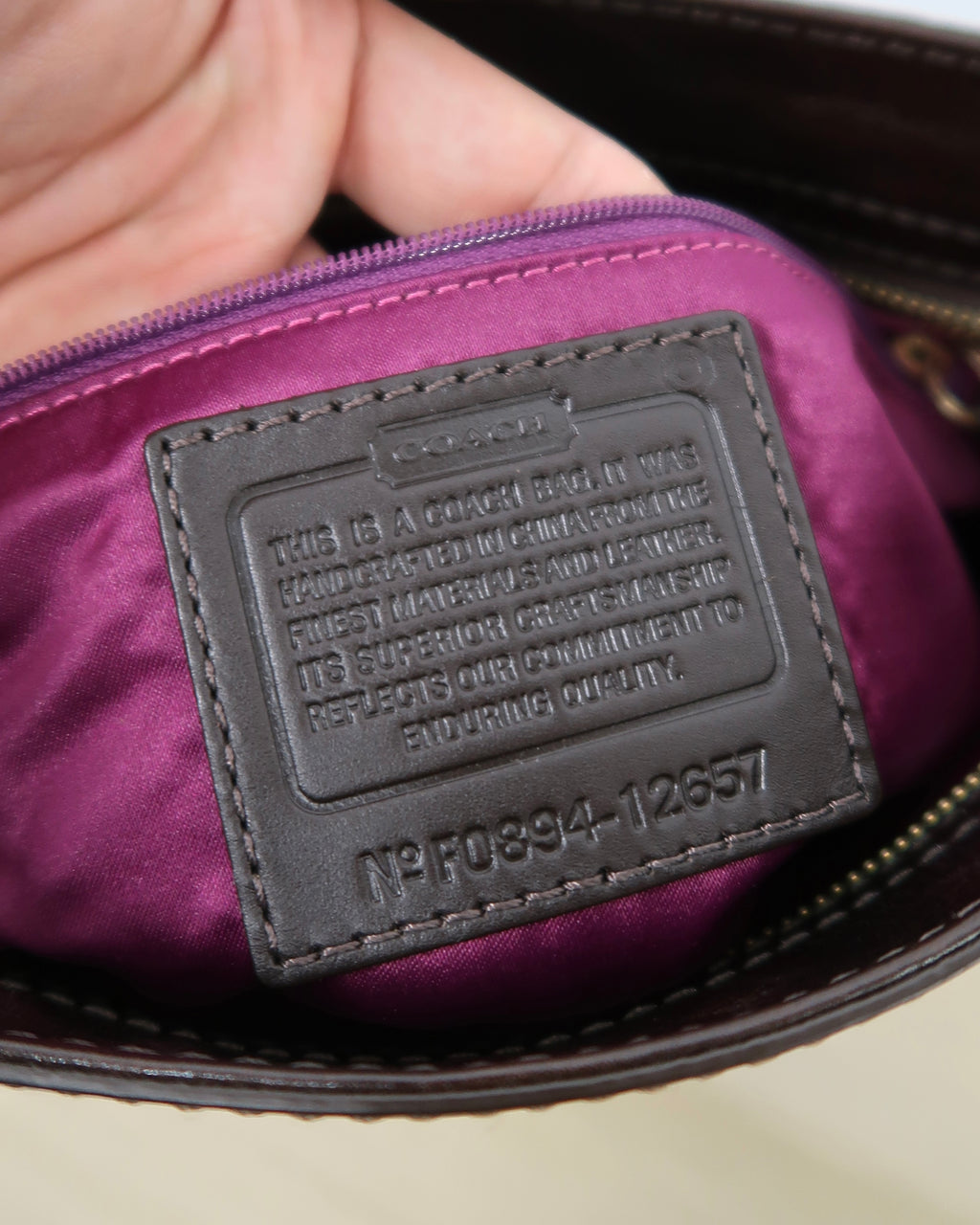 Brown Coach Zoe Hobo Bag