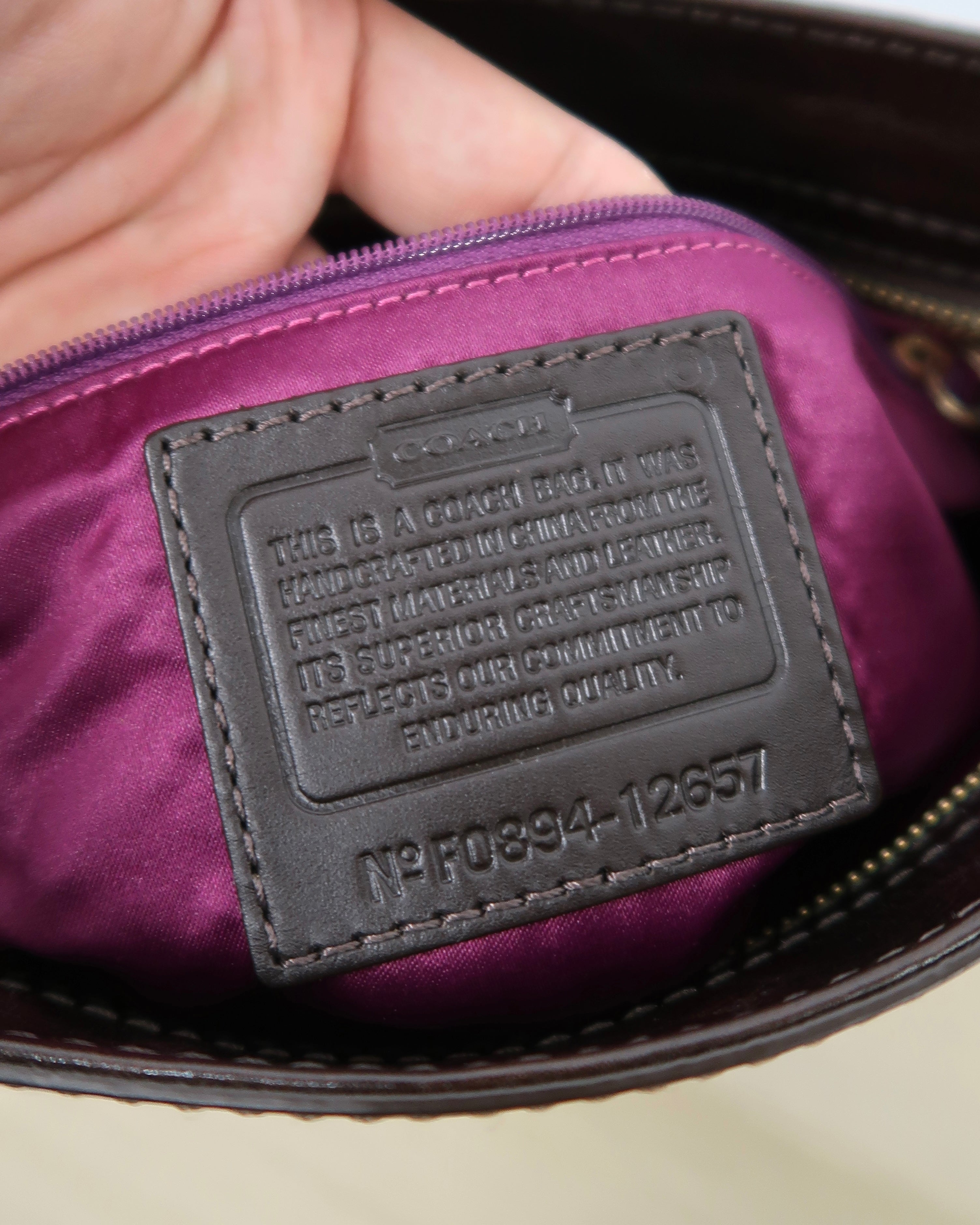 Brown Coach Zoe Hobo Bag