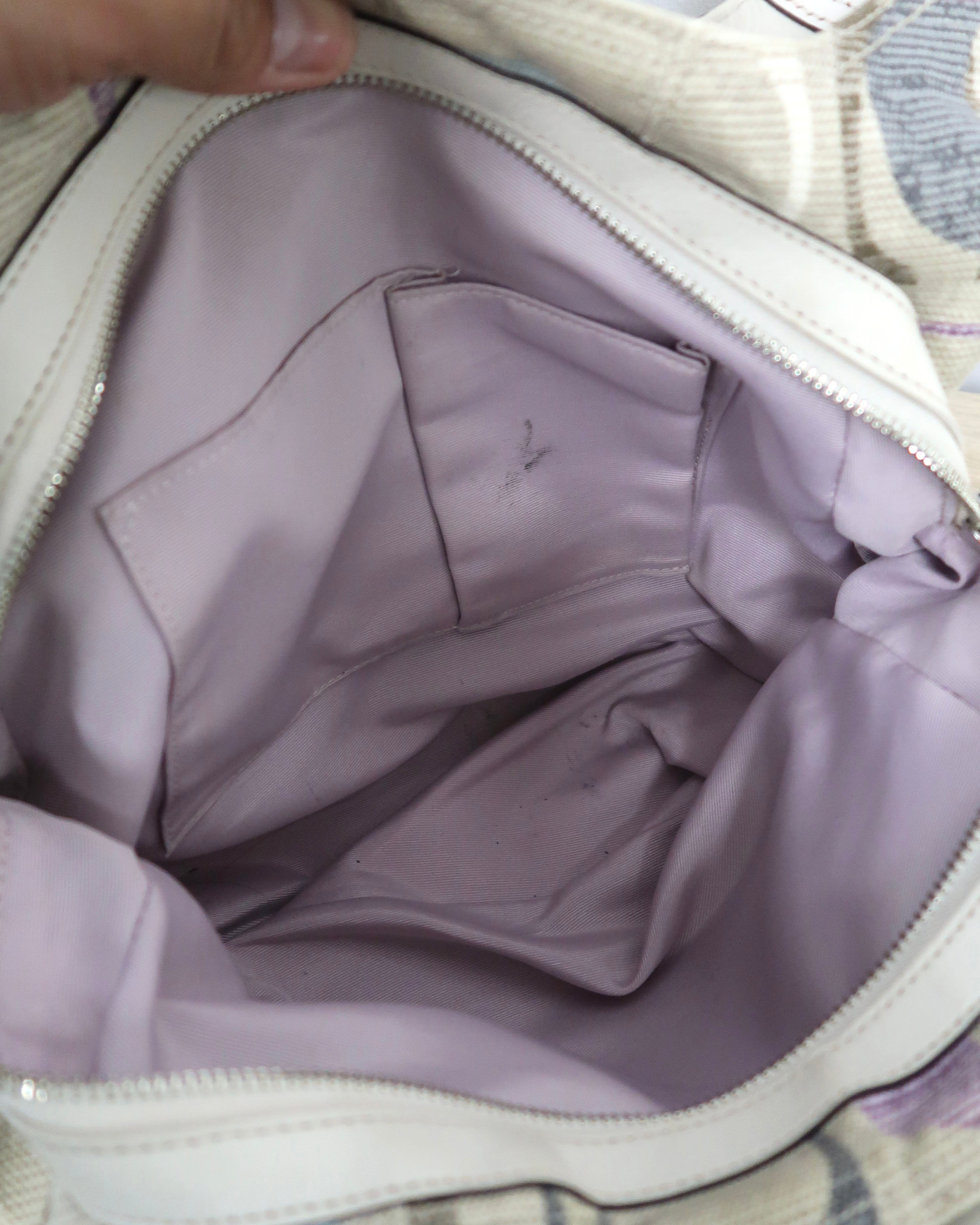 Coach Soho Signature Hobo Bag