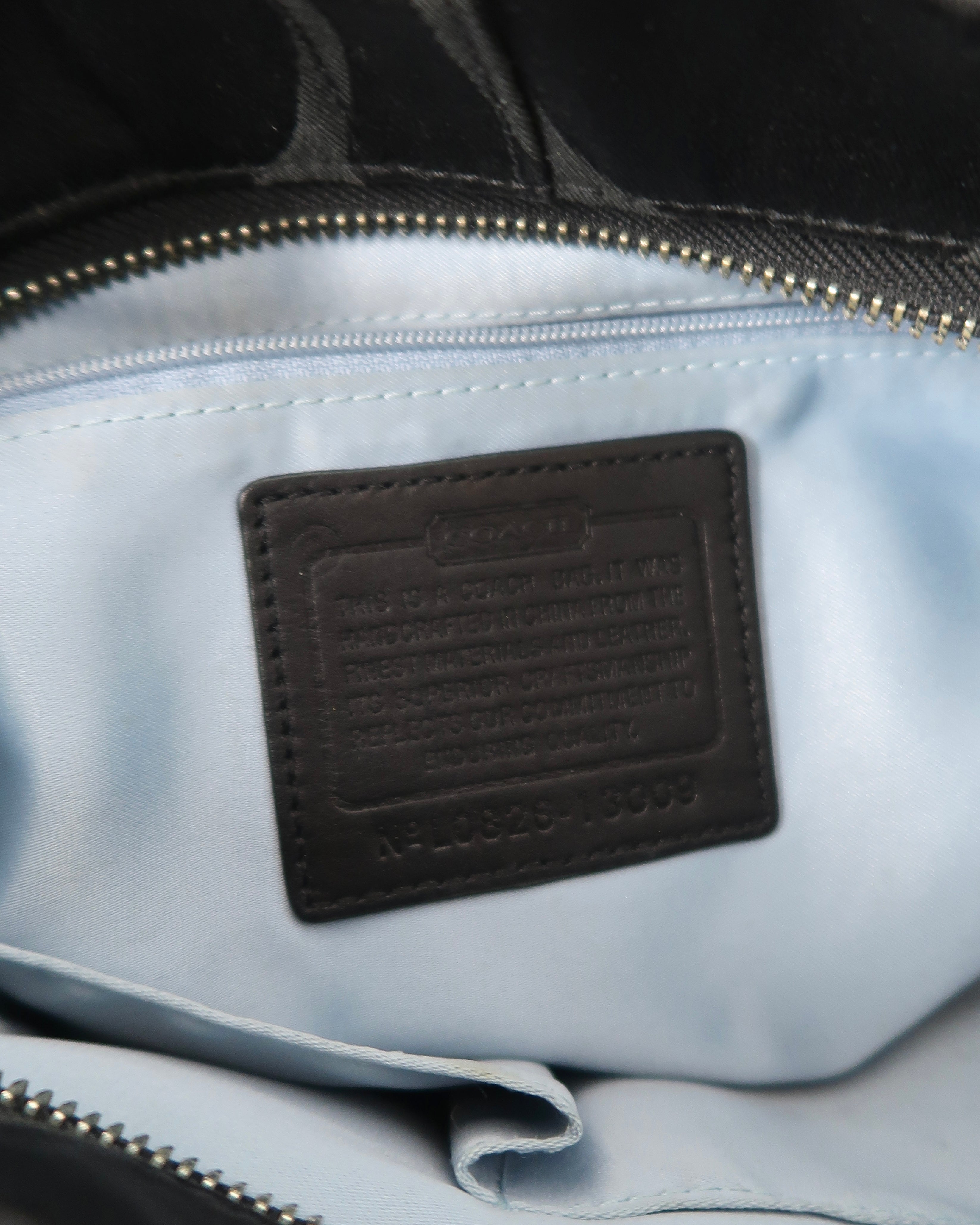Coach Carly hobo bag