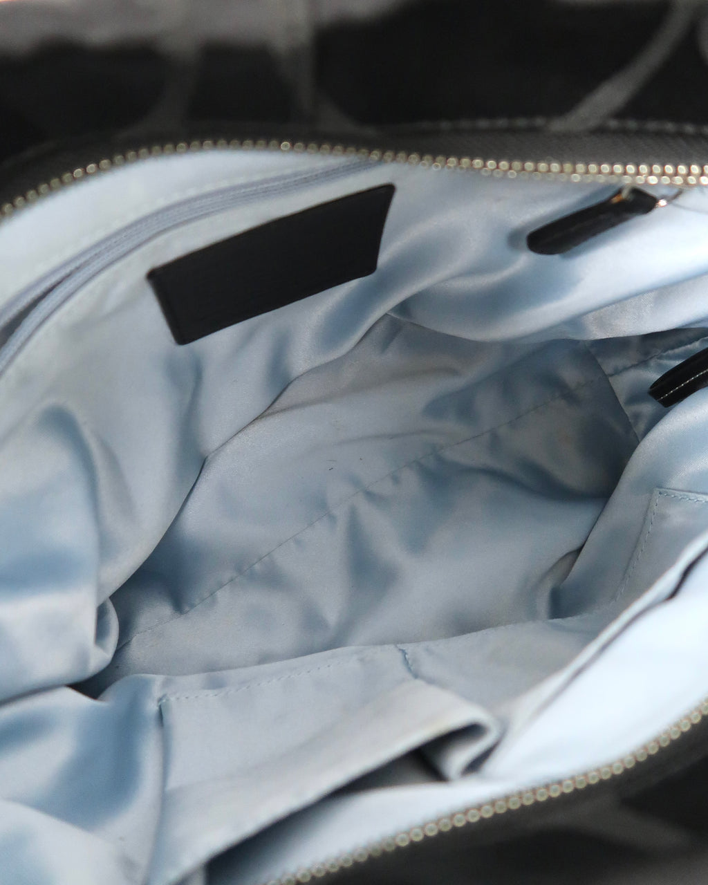 Coach Carly hobo bag