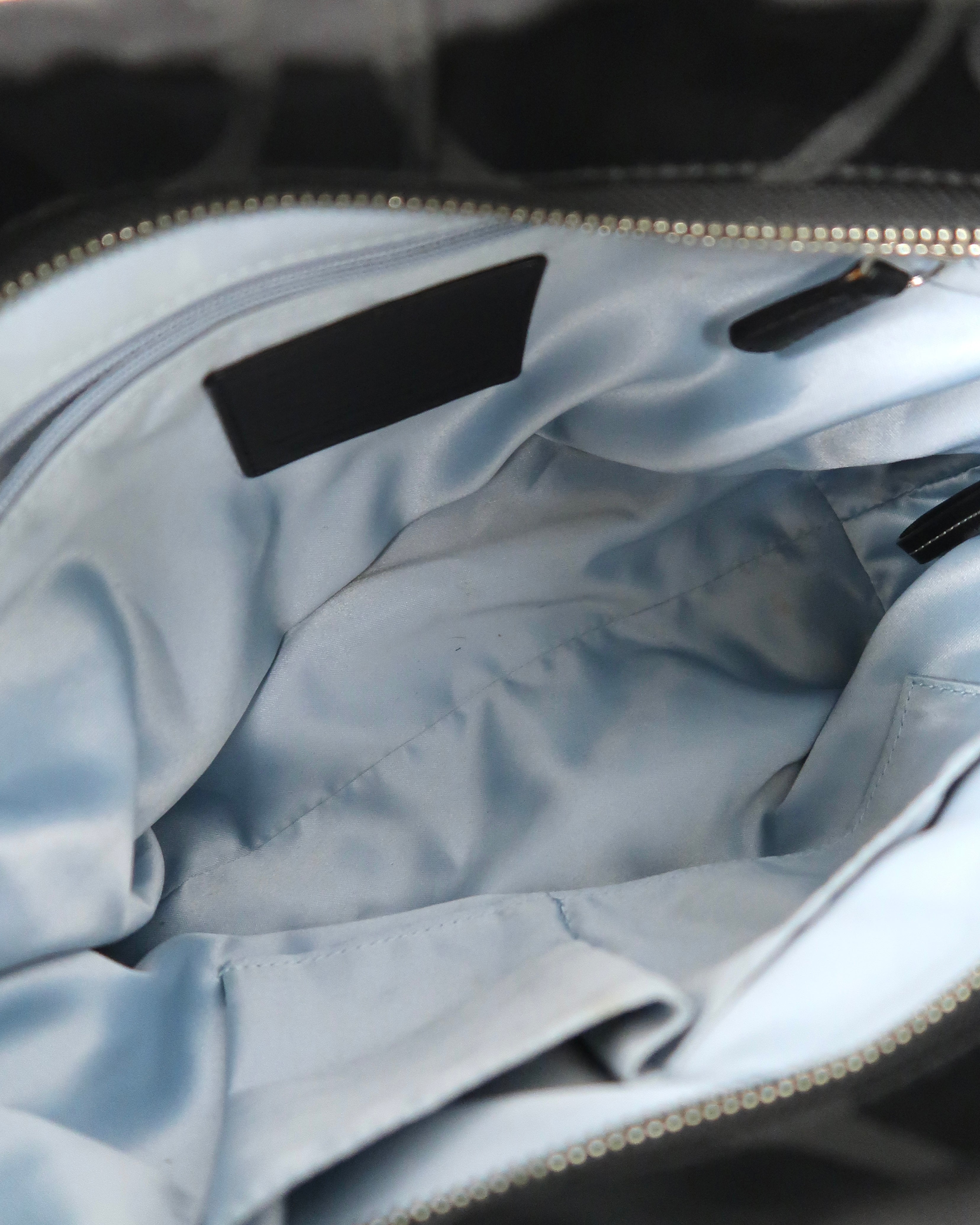 Coach Carly hobo bag