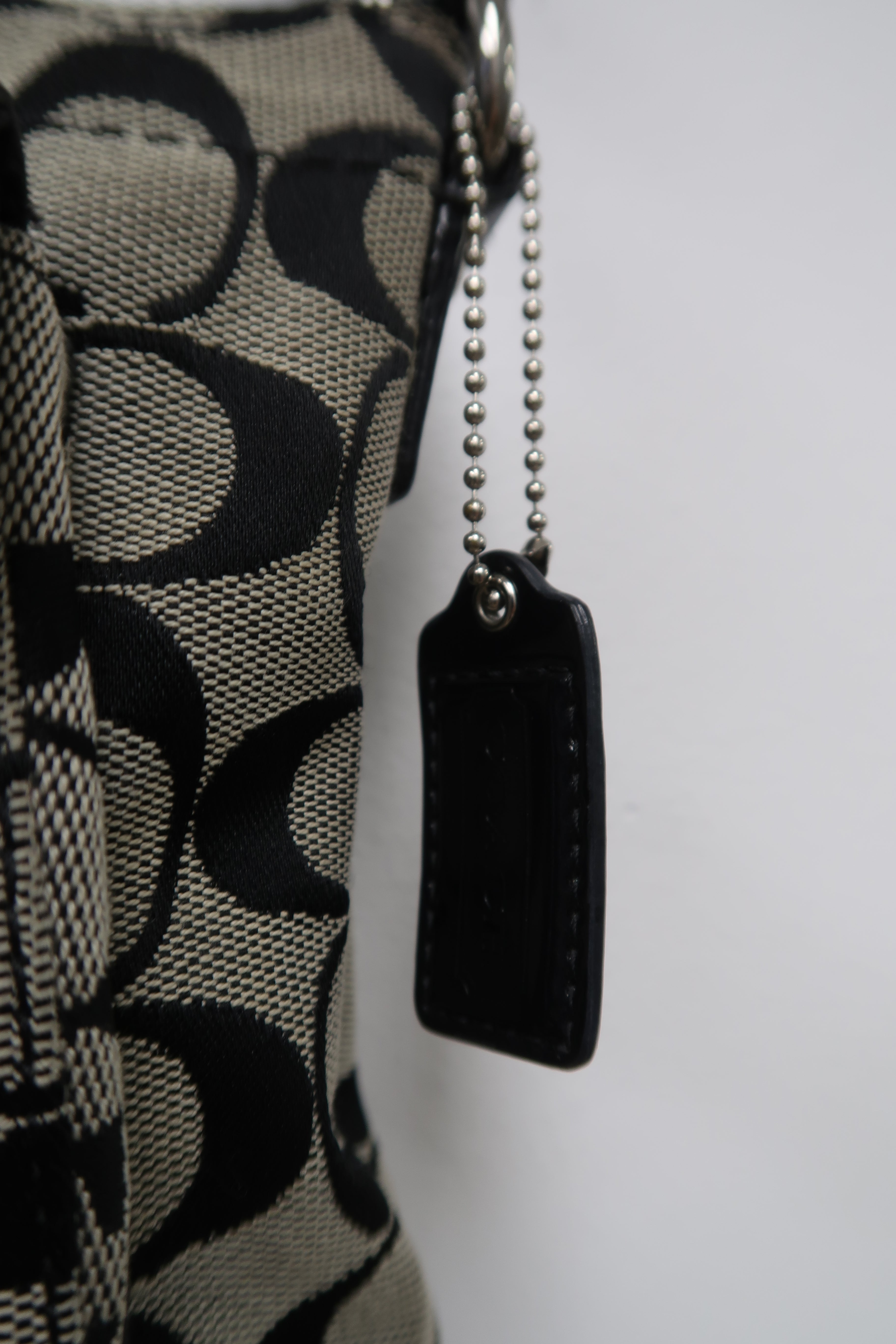 Coach Signature Canvas crossbody bag