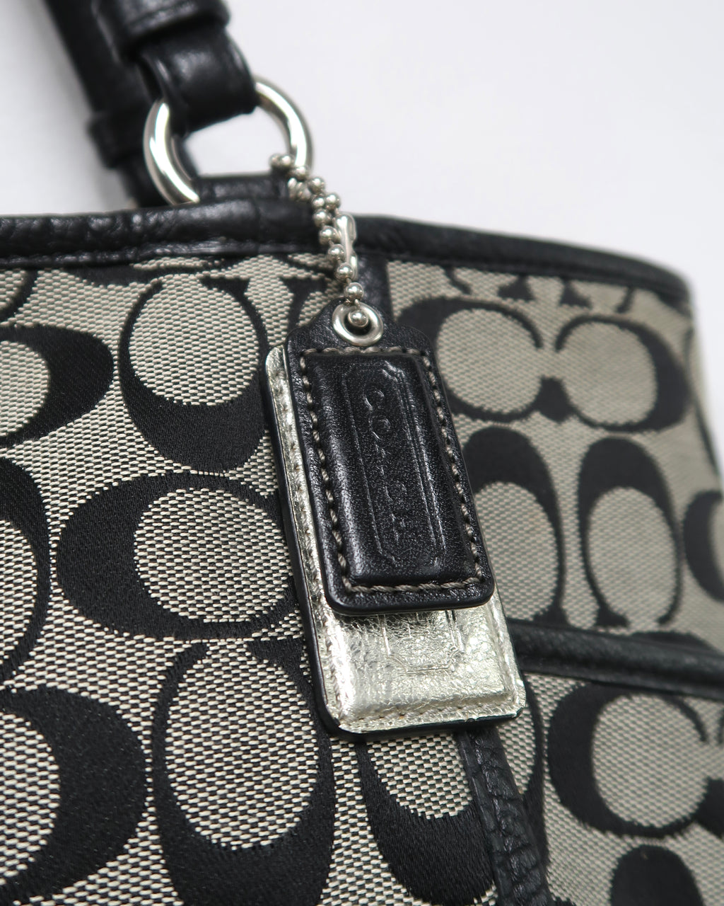 COACH Park Signature Carrie Tote
