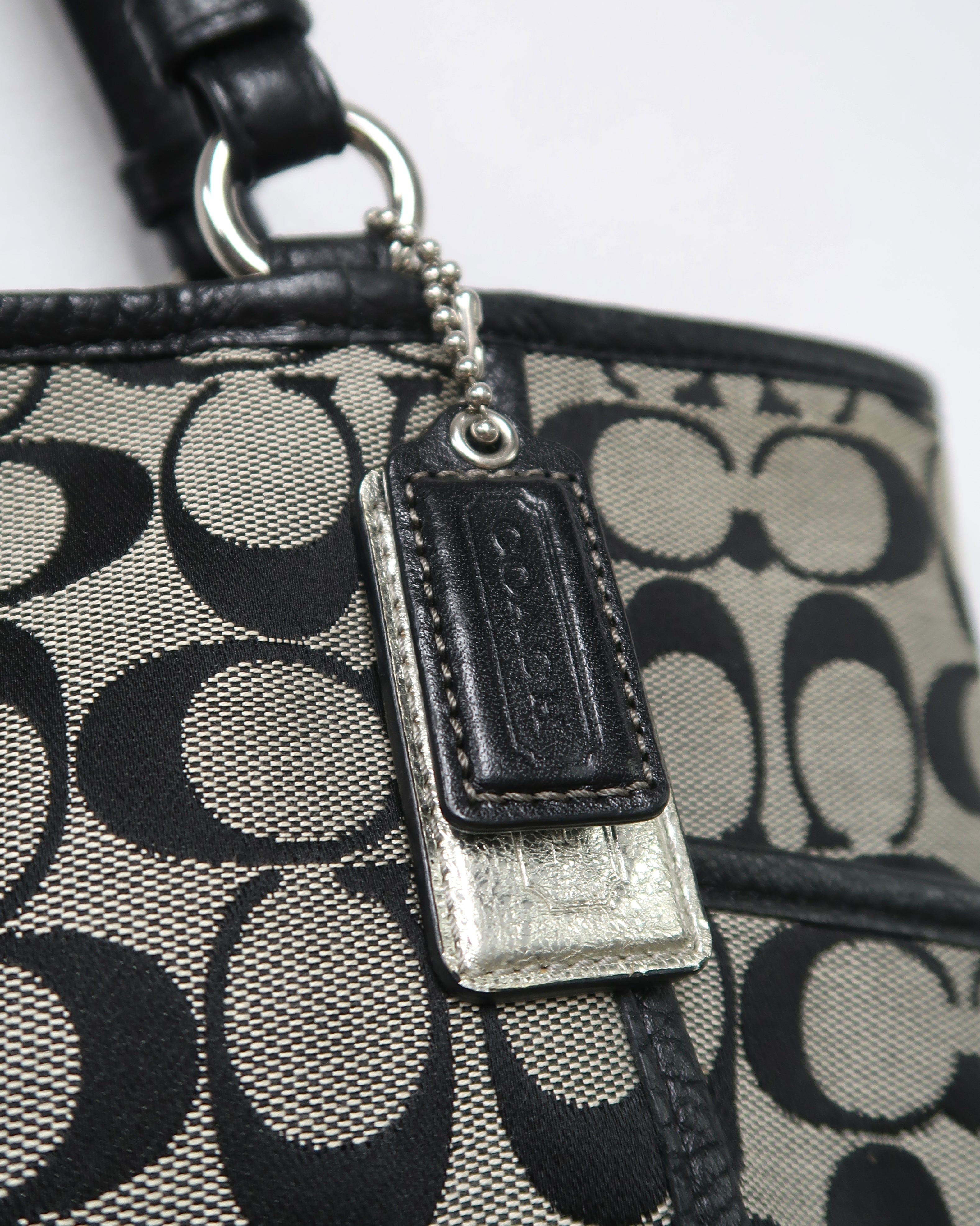 COACH Park Signature Carrie Tote