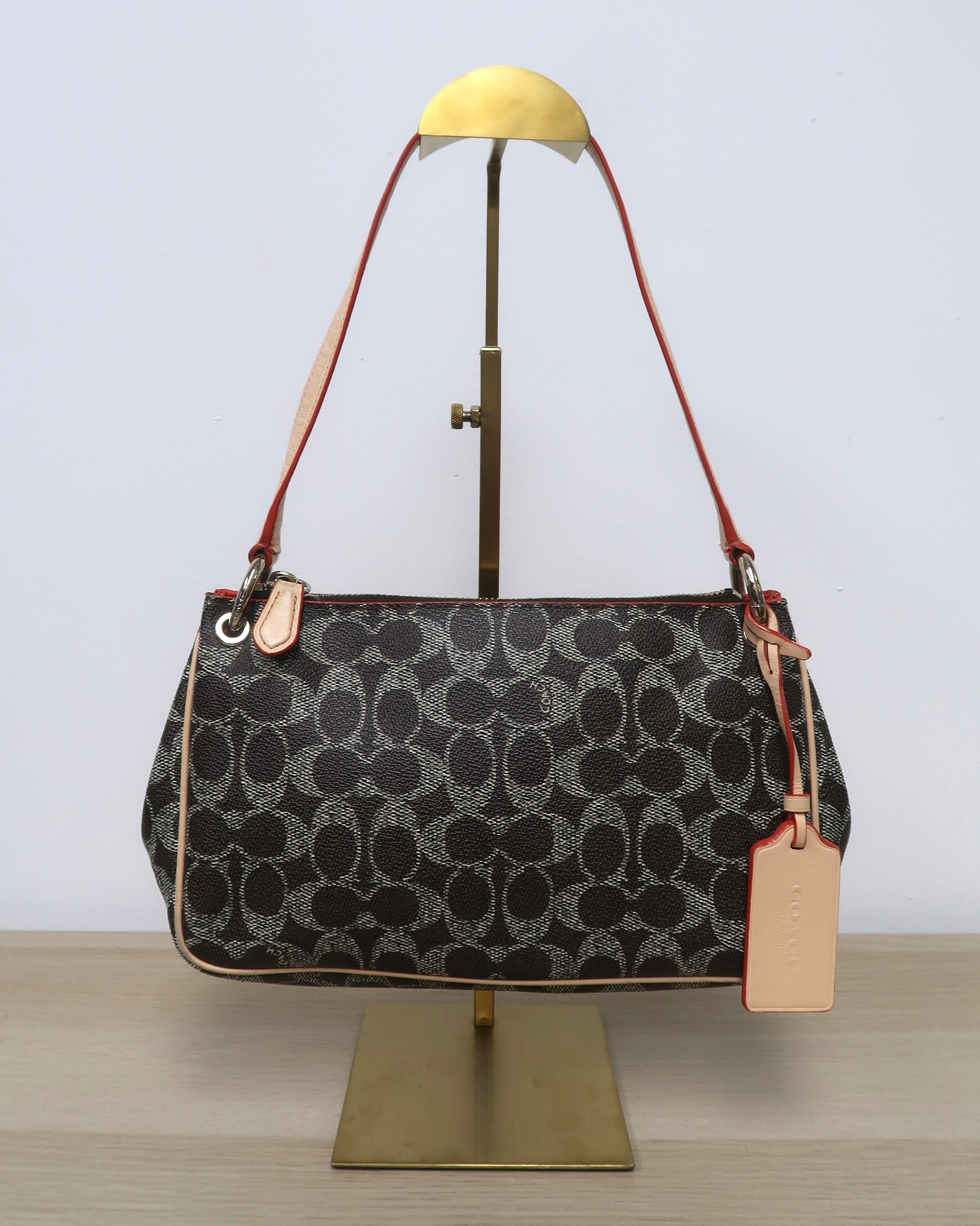 Coach Signature Charley Crossbody
