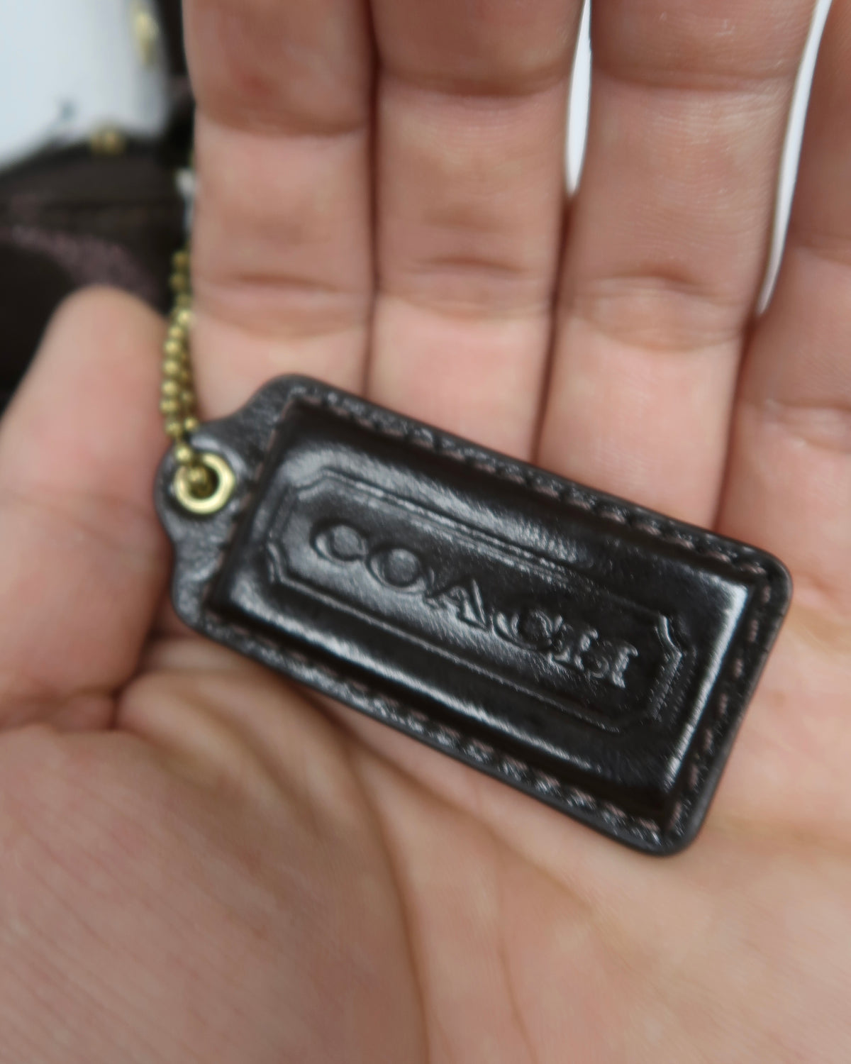 Coach Signature Print Cross Body Bag